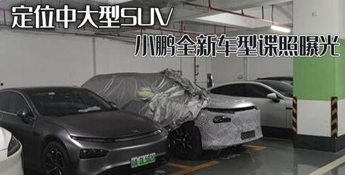 最新爆料车型大全视频播放,车型大全视频深度解析